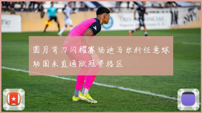 圆月弯刀闪耀赛场迪马尔科任意球助国米直通欧冠资格区
