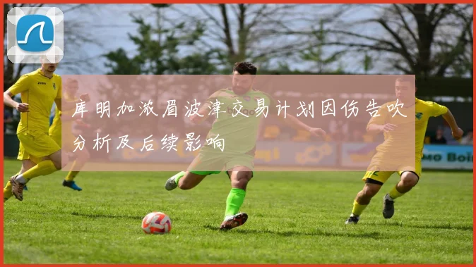 库明加浓眉波津交易计划因伤告吹分析及后续影响