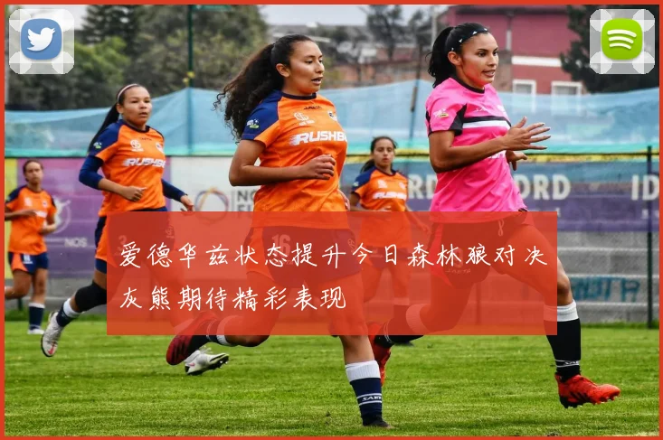 爱德华兹状态提升今日森林狼对决灰熊期待精彩表现