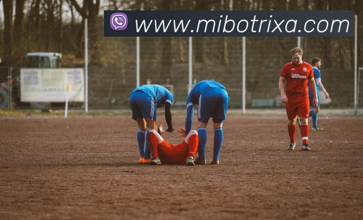 App Interface Preview